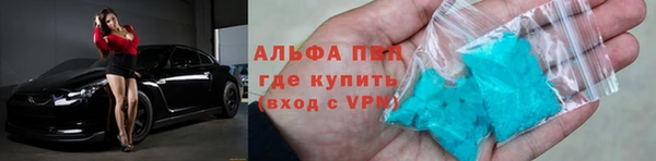 стаф Баксан