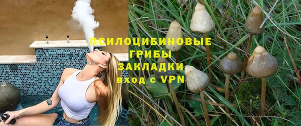 стаф Баксан