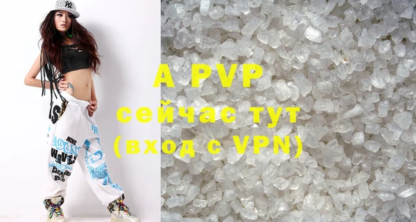 стаф Баксан