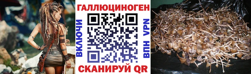 Галлюциногенные грибы мухоморы  Островной 